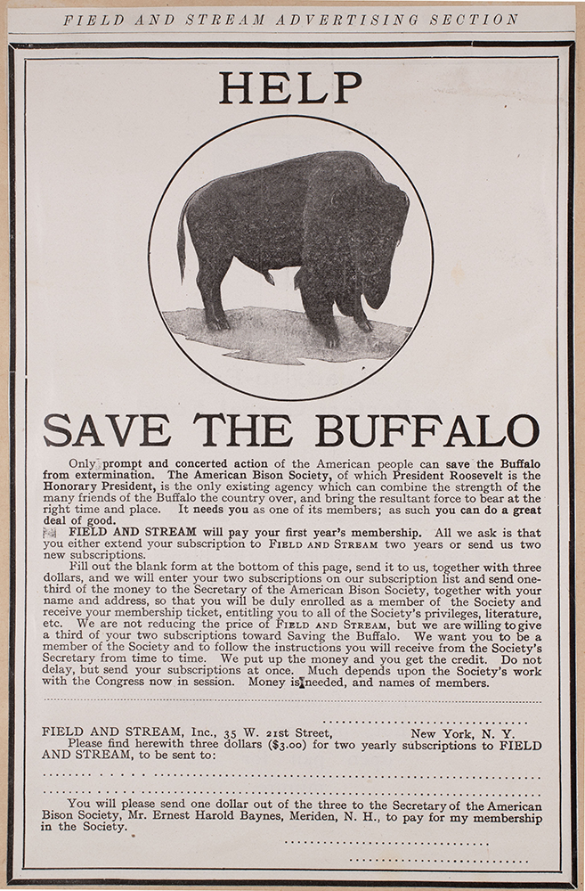 Advertisement in Field and Stream magazine