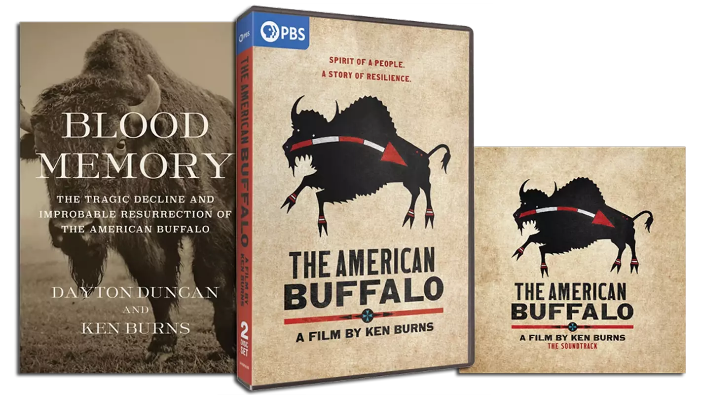 Watch The American Buffalo A Documentary From Ken Burns PBS