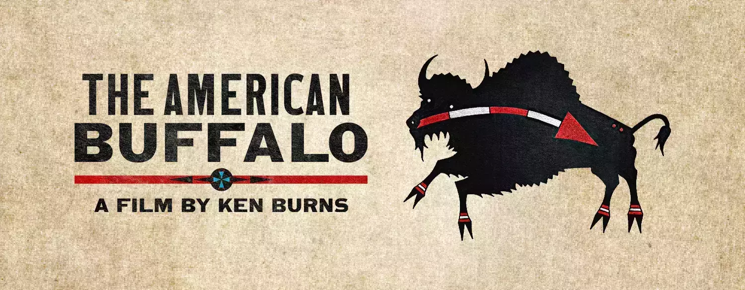 Illustration of The American Buffalo