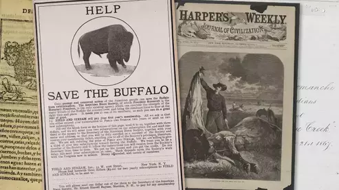 Standard 16x9 copy | Perspectives on The American Buffalo’s Past and Present