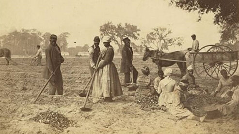 A sepia-toned photo shows African-American slaves working in the sweet potato fields on the Hopkinson plantation, South Carolina, in 1862. | Episode 1 | The Cause (1861)