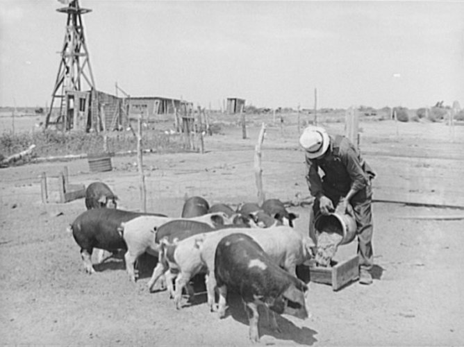 The Dust Bowl Photo Gallery Ken Burns PBS The Dust Bowl Ken   S0561 Lg 