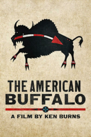 The American Buffalo