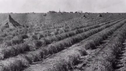 The Depression Comes to the Southern Plains