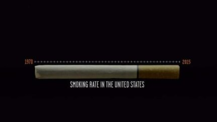 Cigarette Infographic