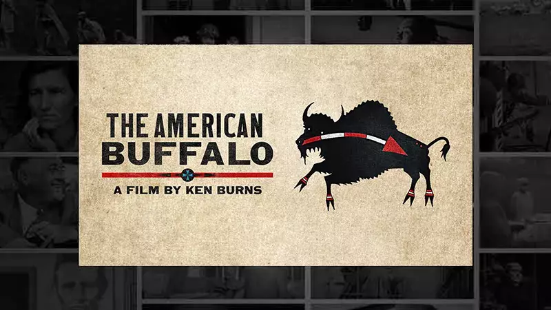 American Buffalo film art | 